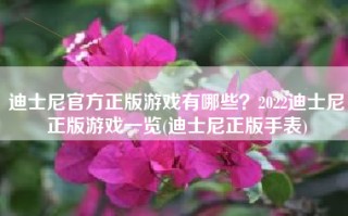 迪士尼官方正版游戏有哪些？2022迪士尼正版游戏一览(迪士尼正版手表)