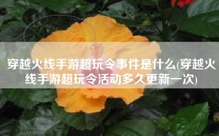 穿越火线手游超玩令事件是什么(穿越火线手游超玩令活动多久更新一次)