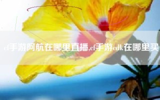 cf手游阿航在哪里直播,cf手游cdk在哪里买