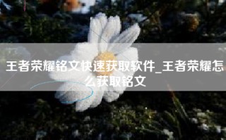 王者荣耀铭文快速获取软件_王者荣耀怎么获取铭文