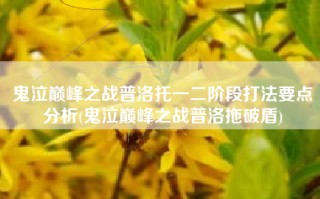 鬼泣巅峰之战普洛托一二阶段打法要点分析(鬼泣巅峰之战普洛拖破盾)