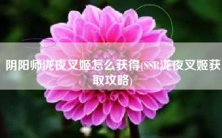 阴阳师泷夜叉姬怎么获得(SSR泷夜叉姬获取攻略)