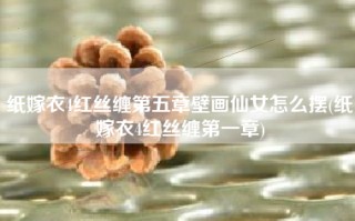 纸嫁衣4红丝缠第五章壁画仙女怎么摆(纸嫁衣4红丝缠第一章)