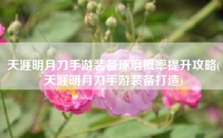 天涯明月刀手游装备琢磨概率提升攻略(天涯明月刀手游装备打造)