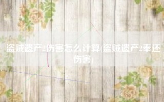 盗贼遗产2伤害怎么计算(盗贼遗产2奉还伤害)