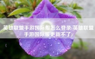 英雄联盟手游国际服怎么登录(英雄联盟手游国际服更新不了)