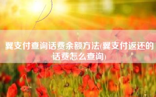 翼支付查询话费余额方法(翼支付返还的话费怎么查询)