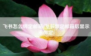 飞书怎么绑定邮箱(飞书绑定邮箱后显示未绑定)