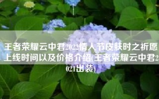 王者荣耀云中君2022情人节皮肤时之祈愿上线时间以及价格介绍(王者荣耀云中君2021出装)