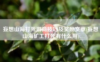 妄想山海打死游商技巧及奖励文章(妄想山海矿工打死有什么用)