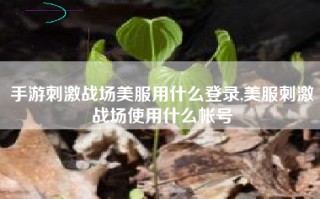 手游刺激战场美服用什么登录,美服刺激战场使用什么帐号