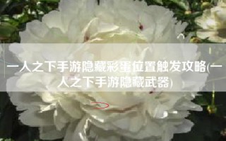 一人之下手游隐藏彩蛋位置触发攻略(一人之下手游隐藏武器)