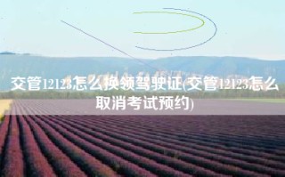 交管12123怎么换领驾驶证(交管12123怎么取消考试预约)