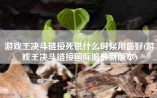 游戏王决斗链接死供什么时候用最好(游戏王决斗链接国际服最新版本)