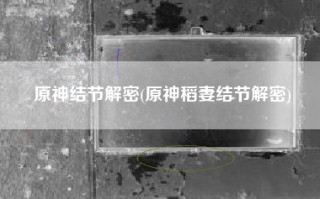 原神结节解密(原神稻妻结节解密)