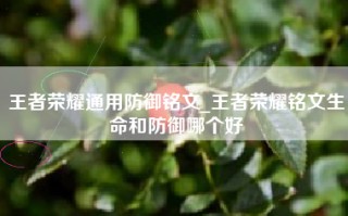 王者荣耀通用防御铭文_王者荣耀铭文生命和防御哪个好