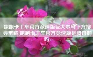 跑跑卡丁车官方竞速版巨大木马下方搜寻宝藏(跑跑卡丁车官方竞速版是腾讯的吗)