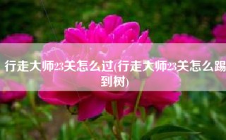 行走大师23关怎么过(行走大师23关怎么踢到树)