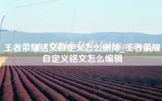 王者荣耀铭文自定义怎么删除_王者荣耀自定义铭文怎么编辑