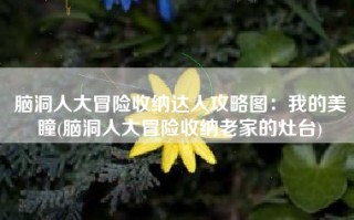 脑洞人大冒险收纳达人攻略图：我的美瞳(脑洞人大冒险收纳老家的灶台)
