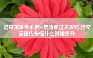 洛奇英雄传永恒20层嗜血过关攻略(洛奇英雄传永恒什么时候重开)