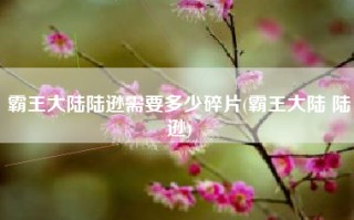 霸王大陆陆逊需要多少碎片(霸王大陆 陆逊)