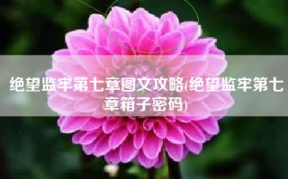 绝望监牢第七章图文攻略(绝望监牢第七章箱子密码)