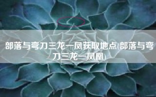 部落与弯刀三龙一凤获取地点(部落与弯刀三龙一凤凰)