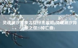 灵魂潮汐异象之怪打法攻略(灵魂潮汐异象之怪25悼亡曲)