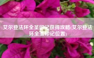 艾尔登法环全圣印记获得攻略(艾尔登法环全圣印记位置)