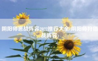 阴阳师崽战阵容2022推荐大全(阴阳师狩猎战阵容)