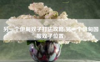 另一个伊甸双子打法攻略(另一个伊甸国服双子位置)
