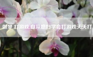 做梦 打游戏,自从媳妇学会打游戏天天打