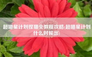 超喵星计划捏猫全教程攻略(超喵星计划什么时候出)