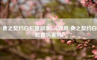 食之契约白松露副本boss攻略(食之契约白松露厉害吗)