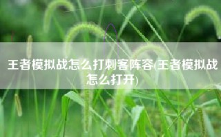 王者模拟战怎么打刺客阵容(王者模拟战怎么打开)