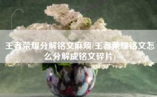王者荣耀分解铭文麻烦(王者荣耀铭文怎么分解成铭文碎片)
