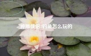 神雕侠侣2钓鱼怎么玩的
