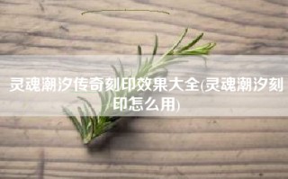 灵魂潮汐传奇刻印效果大全(灵魂潮汐刻印怎么用)