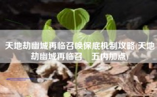 天地劫幽城再临召唤保底机制攻略(天地劫幽城再临召祐五内加点)
