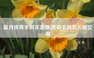 蓝月传奇手游买英雄,传奇手游怎么能交易