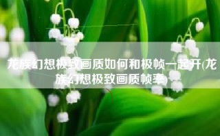 龙族幻想极致画质如何和极帧一起开(龙族幻想极致画质帧率)