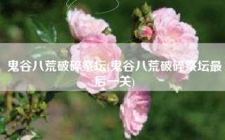 鬼谷八荒破碎祭坛(鬼谷八荒破碎祭坛最后一关)