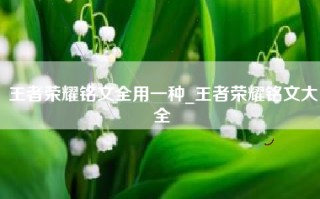 王者荣耀铭文全用一种_王者荣耀铭文大全