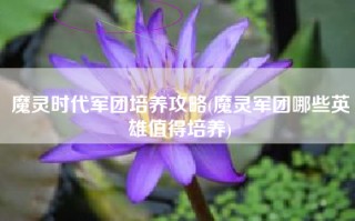 魔灵时代军团培养攻略(魔灵军团哪些英雄值得培养)