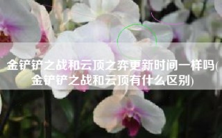 金铲铲之战和云顶之弈更新时间一样吗(金铲铲之战和云顶有什么区别)