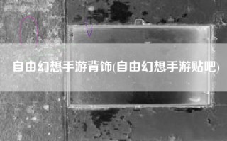 自由幻想手游背饰(自由幻想手游贴吧)