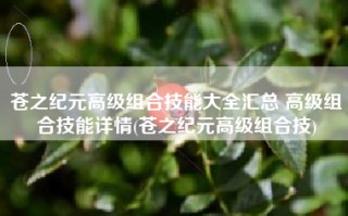 苍之纪元高级组合技能大全汇总 高级组合技能详情(苍之纪元高级组合技)