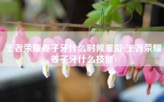 王者荣耀姜子牙什么时候重做(王者荣耀姜子牙什么技能)