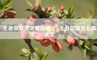 王者荣耀铭文要做哪个_王者荣耀怎么卖铭文